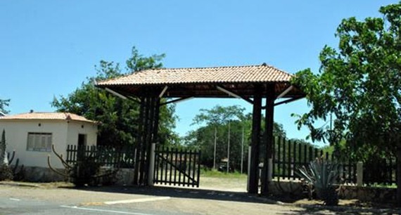 Resultado de imagem para fotos Estação ecológica de Aiuaba
