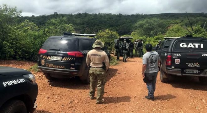 PF destrói 57 mil pés de maconha no Sertão de Pernambuco na Operação Muçambê II