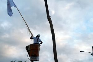 Pela primeira na história não é realizado o carregamento do Pau da Bandeira de Barbalha
