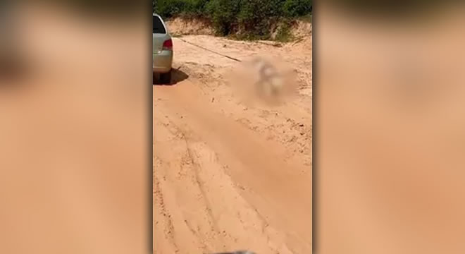 Cachorro é arrastado por carro em estrada de Itarema, no Ceará; maus-tratos foram filmados