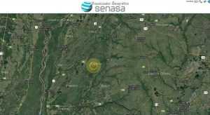 Nuvem de gafanhotos se afasta do Brasil