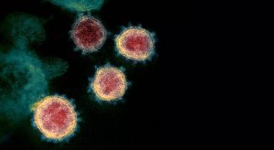 Ceará tem menor taxa de transmissão do novo coronavírus desde o início da pandemia