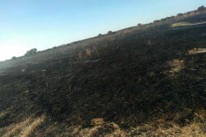 Incêndio de grandes proporções na zona rural de Iguatu devasta vegetação