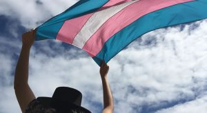14 pessoas trans foram mortas no Ceará em 2020