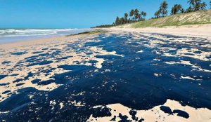 desastre atingiu ao menos 350 mil pescadores no Nordeste, diz estudo