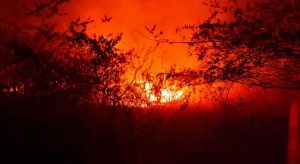 Incêndios destroem vegetação em Tabuleiro do Norte e Iguatu