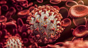 Mesmo sem anticorpos, sistema imune pode prevenir reinfecção por covid-19