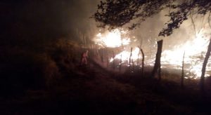 Queimadas podem ocasionar crises asmáticas e até AVC, apontam especialistas