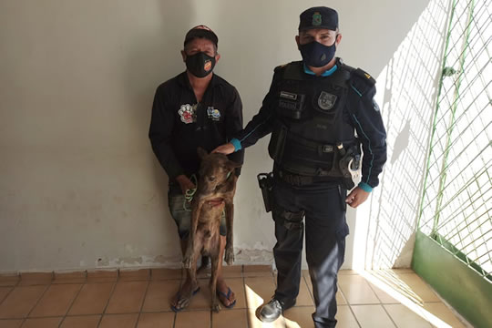 PM resgata cachorro de maus-tratos e apreende espingarda, em Icó