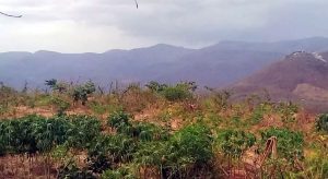 Tremor de terra é registrado na Serra da Meruoca, no Ceará, nesta quarta-feira