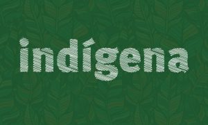 MPF atua para minimizar tensão em terra indígena Pankararu