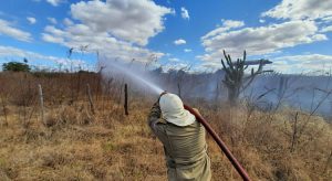 Incêndios em vegetação nos primeiros 10 dias de agosto já superam todo mês de julho, no Ceará