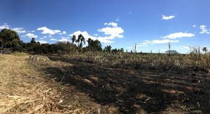 20 mil litros de álcool 70% que seriam produzidos e doados no Cariri foram consumidos por incêndio