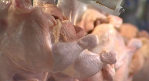 Filipinas suspendem importações da carne de frango do Brasil por medo de coronavírus