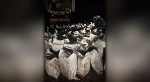 Mais de 4 toneladas de maconha são apreendidas pela PM dentro de caminhão, no Ceará