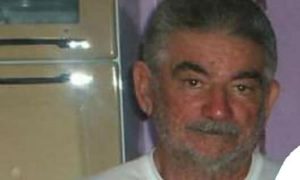 Idoso morre após ser atacado por abelhas na zona rural de Boa Viagem