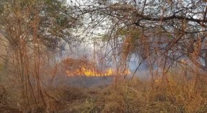 Setembro registra mais de 80% de focos de queimadas em relação ao mês anterior