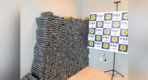 Polícia já apreendeu mais de 5 toneladas de maconha neste mês