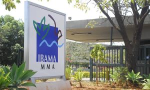 PEC dá a Bolsonaro poder para extinguir ministérios e autarquias, como Ibama