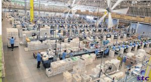 Estado trabalha para que Grendene produza marca Azaleia no Ceará