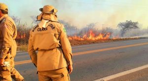 Ceará tem agosto com 3º maior número de queimadas dos últimos 10 anos