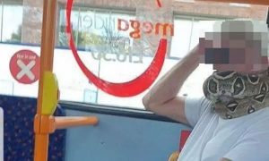 Homem usa cobra para tapar a boca e o nariz enquanto viajava em um ônibus