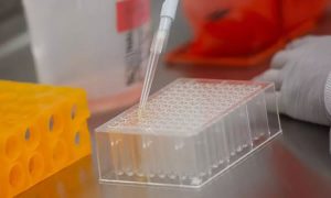 Anvisa autoriza inclusão de mais 5 mil voluntários em estudo da vacina de Oxford