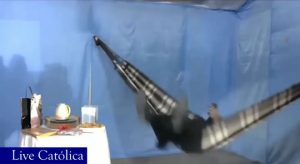 Padre faz sucesso ao leiloar lasanha e torta enquanto balançava na rede