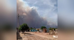 Incêndio em vegetação faz surgir coluna de fumaça e chega perto de casas