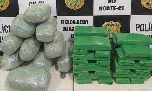 Veja imagens das apreensões de 46 Kg de maconha no Cariri pela Policia Civil