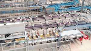 Queda na oferta de cervejas deve elevar preço do produto no Ceará