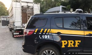 Adolescente é apreendido conduzindo caminhão com carga de cigarros contrabandeados