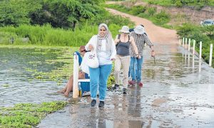 Cientistas internacionais estudam chuvas e uso da água no Ceará