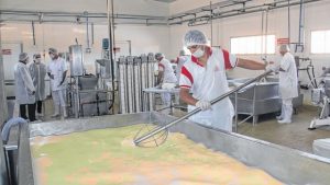 Incentivo à produção de mussarela no Ceará deve reduzir preços no Estado