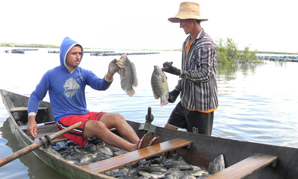 Projeto vai destinar 5,2 milhões alevinos a reservatórios cearenses