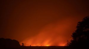 Ibama determina a volta de agentes às atividades de combate a incêndio