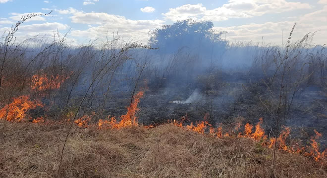 Com 524 focos, início de outubro já supera total de queimadas de setembro no Ceará