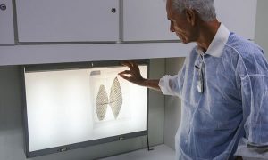 Equipe cearense leva pele de tilápia para tratamento de animais feridos em queimadas no Pantanal