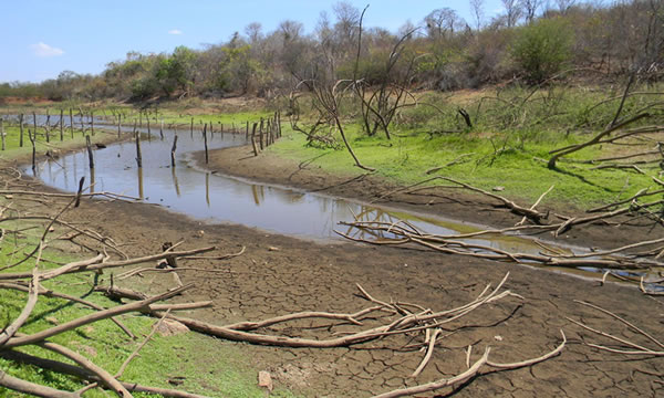 Área com seca fraca no Ceará aumenta de 40% para 62% em setembro, aponta estudo