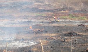Brigadistas do Ceará no Pantanal aguardam dinheiro de combustível para retornar