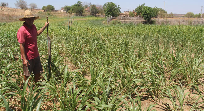 Programa pioneiro de irrigação assegura produção da agricultura familiar no Ceará