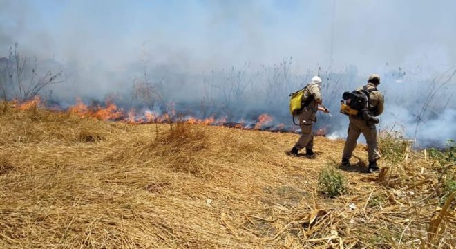 Em apenas uma semana, outubro já tem quase 50% do número de incêndios registrados em setembro