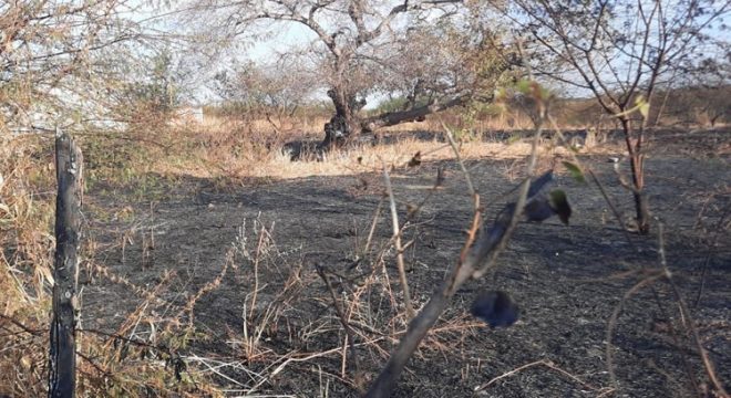 Bombeiros são transferidos de helicóptero após terem parte do corpo queimado em incêndio