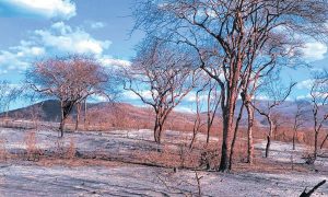 Apenas cinco pessoas são indiciadas por queimadas no CE este ano