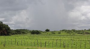 Após dois dias de intensos volumes, chuvas têm redução no Ceará