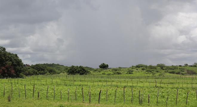 Após dois dias de intensos volumes, chuvas têm redução no Ceará