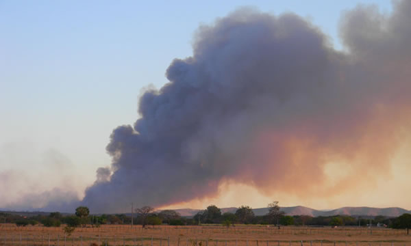 Queimadas em vegetação têm redução de 77% no início de novembro, no Ceará