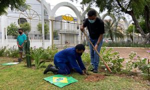 Diocese de Crato planta mudas em memória dos romeiros de Juazeiro do Norte