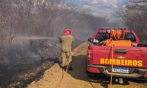 Ceará registra média superior a 41 focos de queimadas por dia, em novembro
