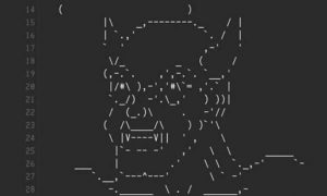 Novo ataque hacker invade sistemas de tribunal federal e divulga arquivos